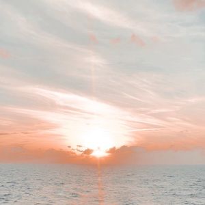 Meet your Posher, Josilyn